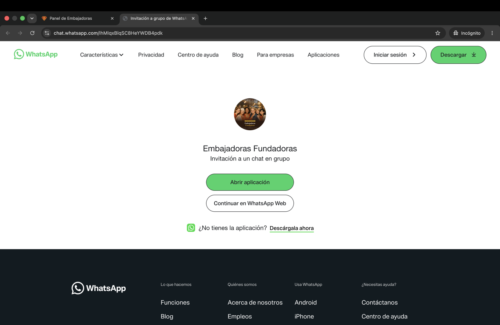 Panel embajadora - historial
